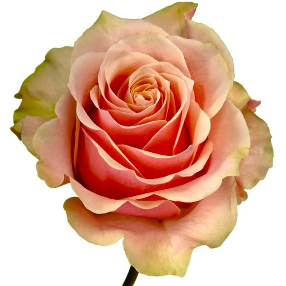 💚💙❤️💛🧡💚💙❤️💛🧡💚💙❤️💛🧡 - Picture 4 of 14